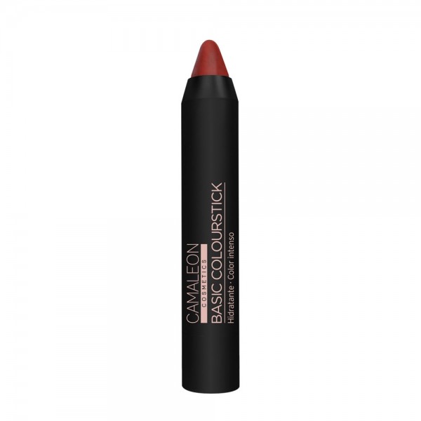 Pintalabios Nude Terra Basic Colourstick