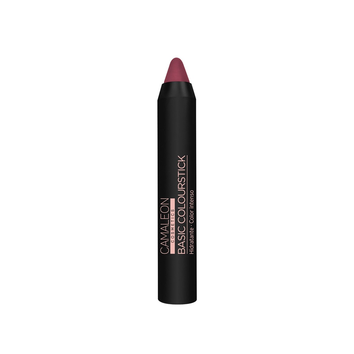 Pintalabios Nude marrón Basic Colourstick